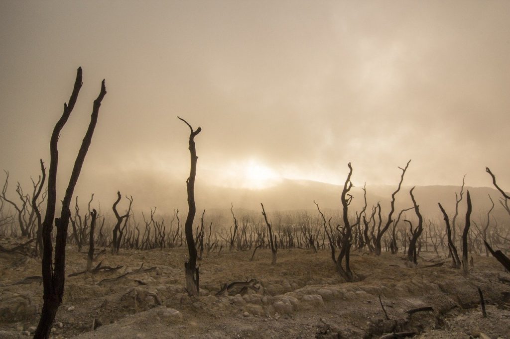 Que faut-il savoir sur le réchauffement climatique ?