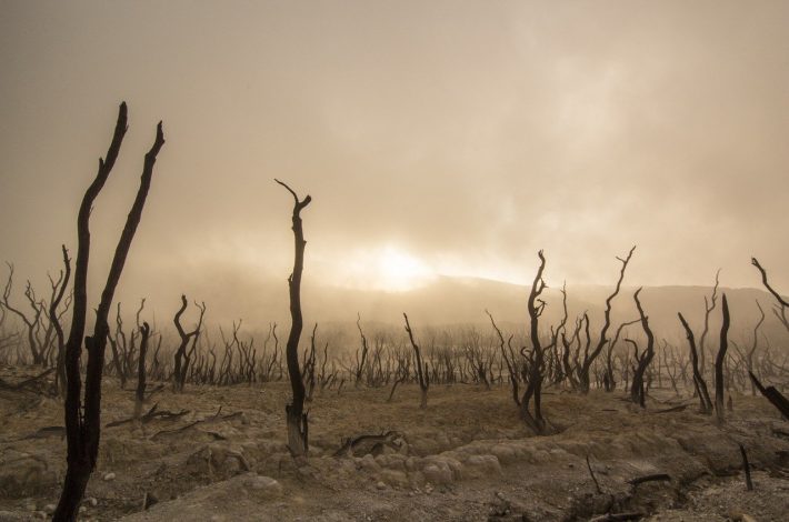 Que faut-il savoir sur le réchauffement climatique ?