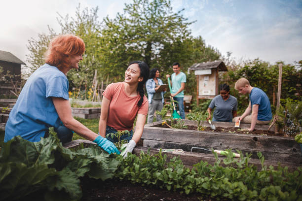 Quelle est la différence entre un jardinier et un paysagiste ?