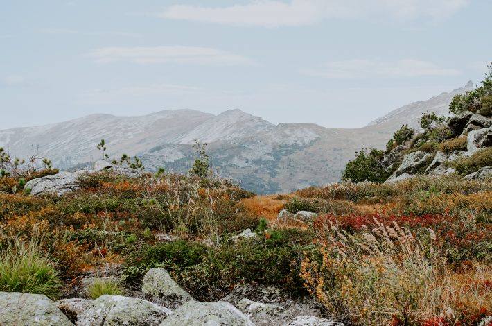 Pourquoi choisir un teambuilding en pleine nature pour renforcer votre équipe ?